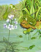 Frog Pond  SOLD